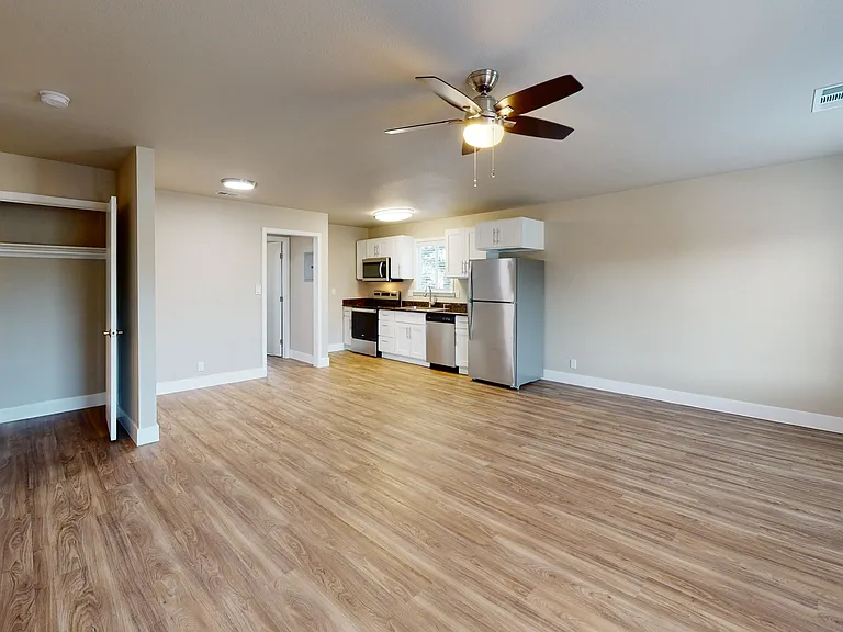 Kitchen and Living