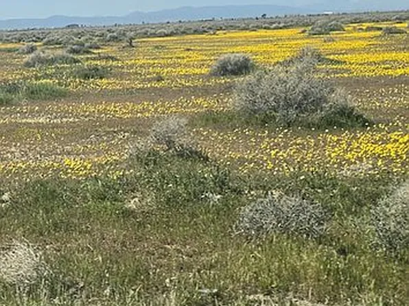 LOT 227th St E, Lancaster, CA 93535