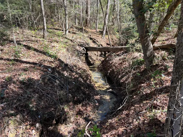 Tbd E Fm 1988, Goodrich, TX 77335