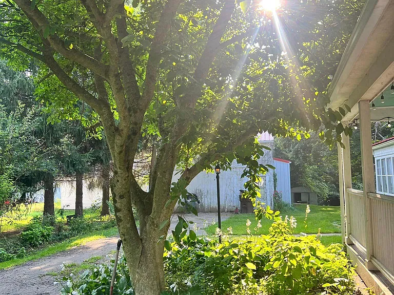 Side Yard