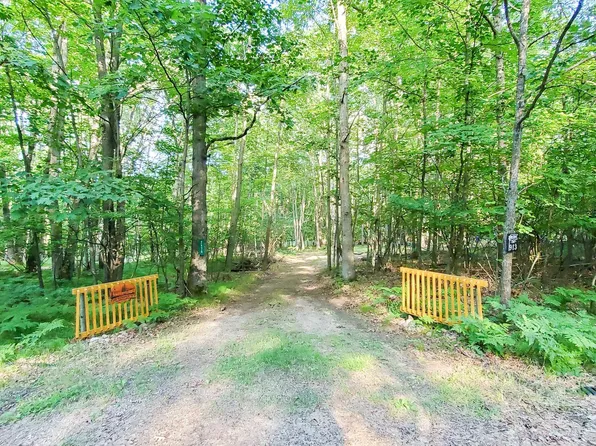 2476 Fern Ct, Farwell, MI 48622