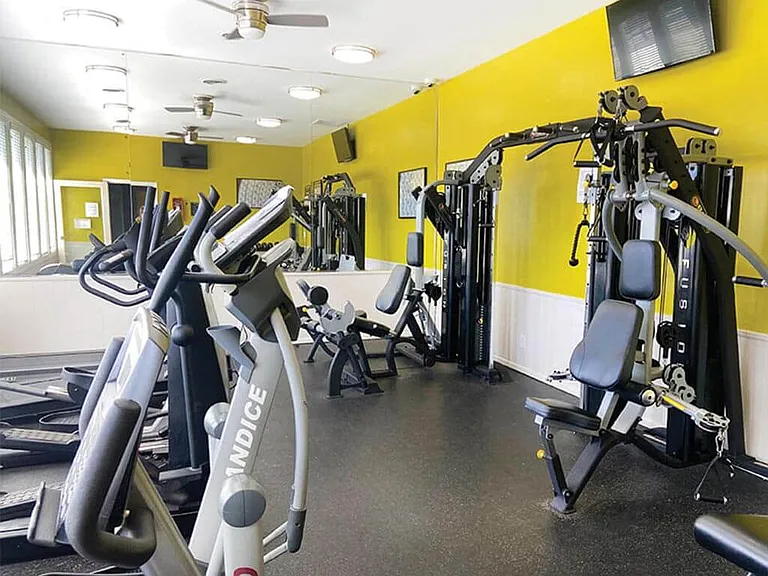 Stay Healthy & Get Fit