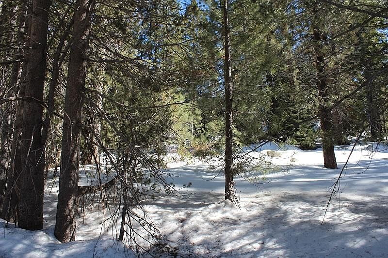 2nd image of 57265 Ponderosa Dr