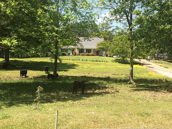 Front of house from road