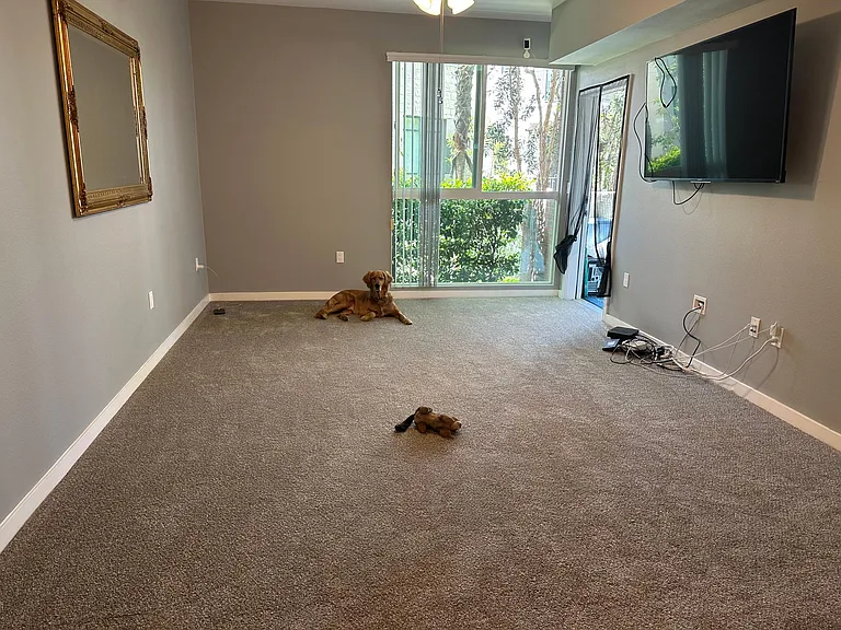 12655 Bluff Creek Dr #122 — Photo 16