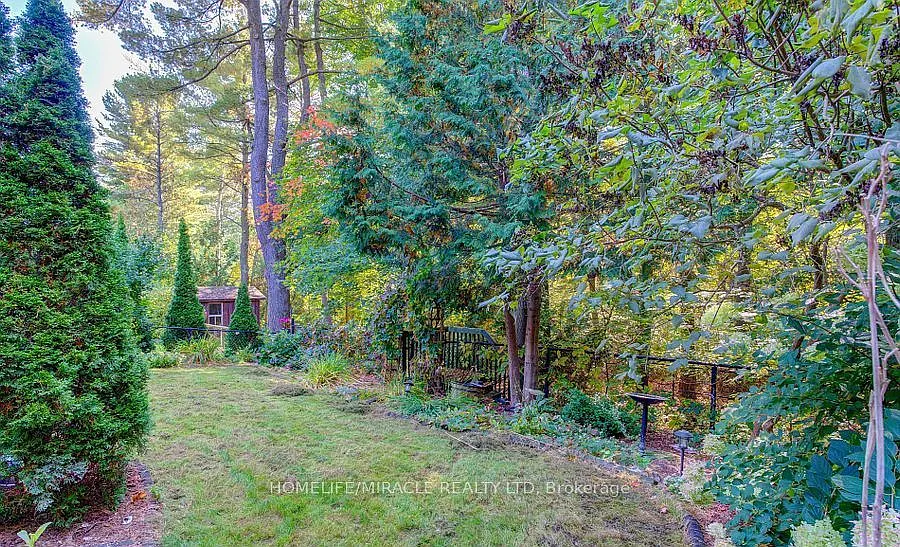 2 bed, $2,100 — Photo 3