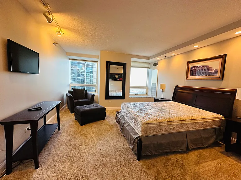 512 N McClurg Ct #3704 — Photo 6