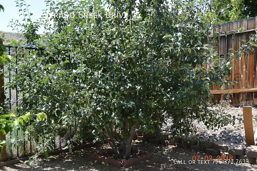 BIG, Beautiful home in Northwest Reno — Photo 3