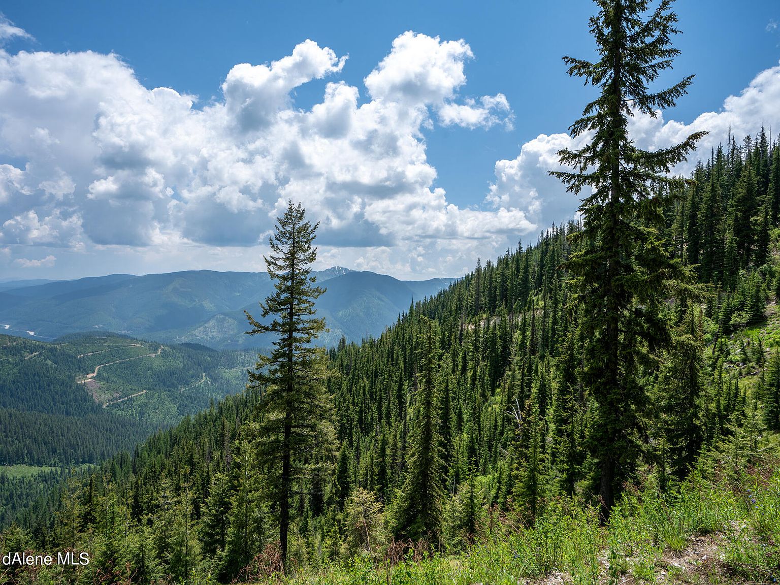 Nka Daisy Gulch Rd, Mullan, ID 83846 MLS 235511 Zillow