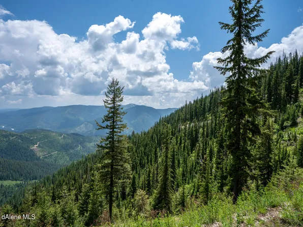 Nka Daisy Gulch Rd, Mullan, ID 83846