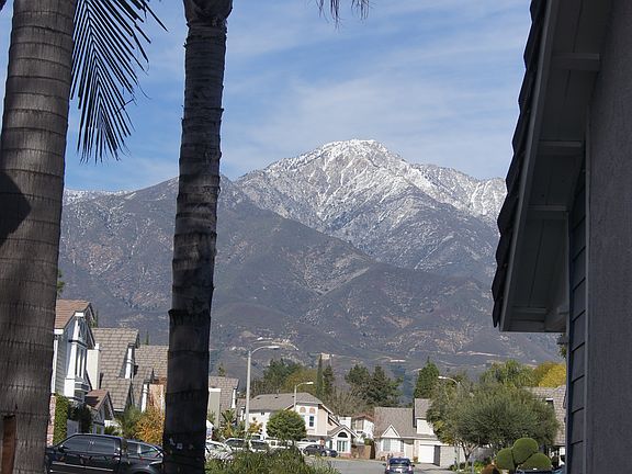 Front Yard View