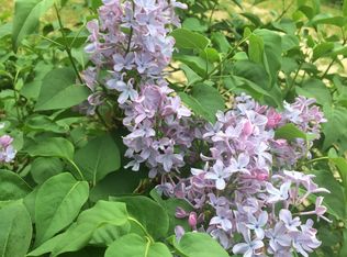 367 Riverside Rd, Oak View, CA 93022