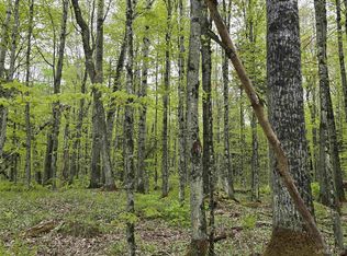 LOT 37 Yellow Rd, Nisula, MI 49952