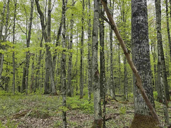 LOT 37 Yellow Rd, Nisula, MI 49952