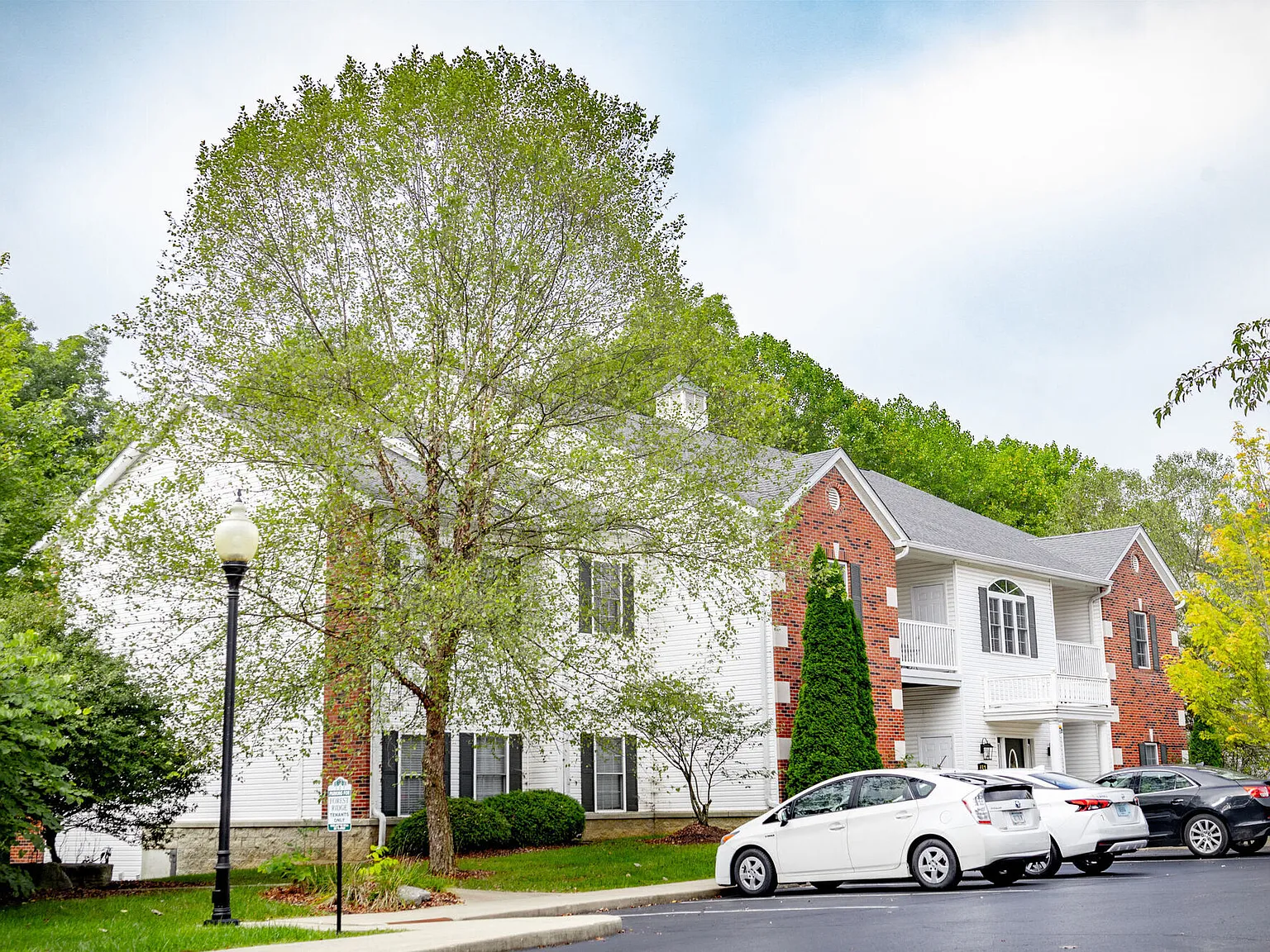 Forest Ridge — Photo 4