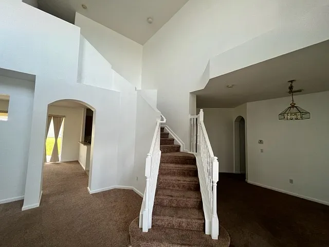 2927 River Birch Dr — Photo 6