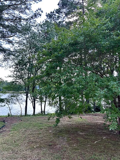 2113 Thornblade Drive - 2113 — Photo 4