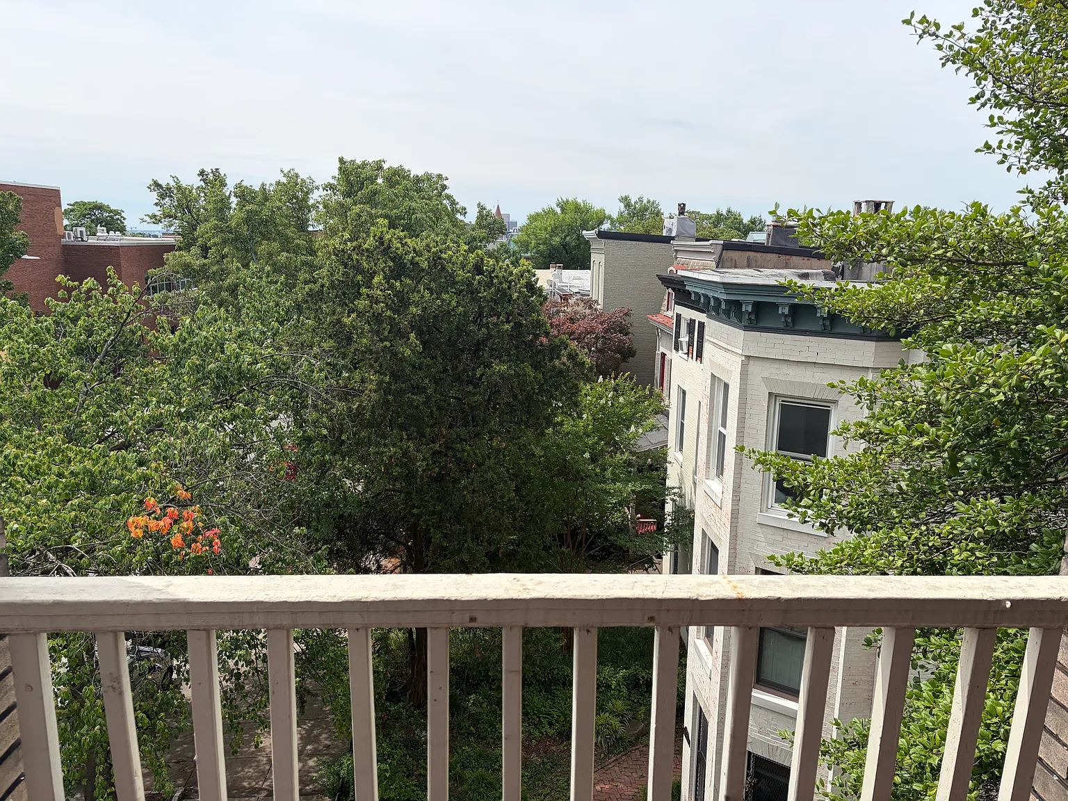 2 bed, 900 sqft, $1,600 — Photo 1