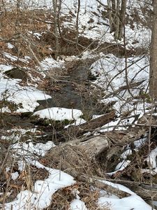 2835 Cool Springs Rd, Thaxton, VA, 24174