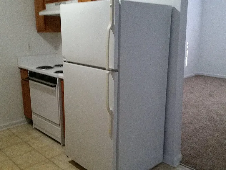 209 E Wilson St #1 — Photo 6
