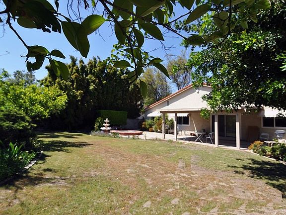 LARGE BACKYARD
