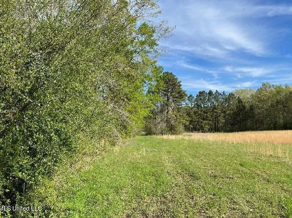 210 Green Gable Rd, Terry, MS 39170