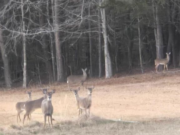 3rd image of 0 Darwin Rd