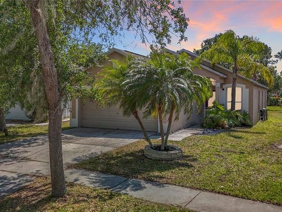10545 Opus Dr, Riverview, FL 33579