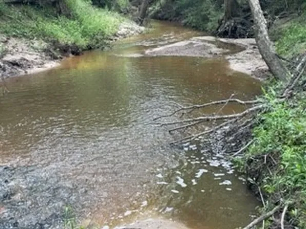 5 Fm 1848, Buffalo, TX 75831