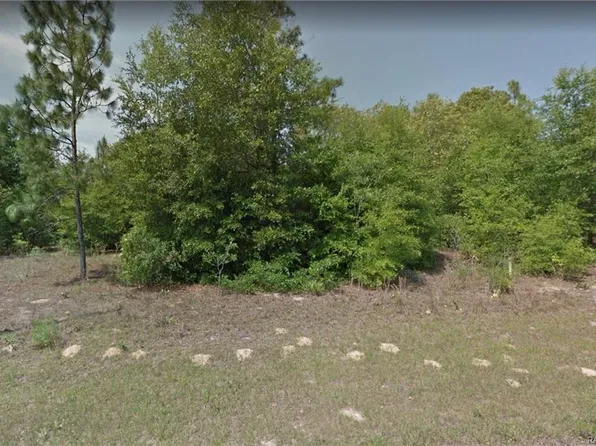 11260 N Terra Cotta Dr, Citrus Springs, FL 34434