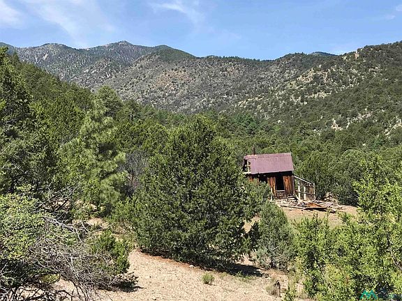2nd image of Copper Cyn