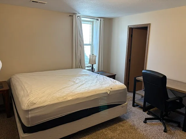 3rd and lower-level bedroom (13 x 14) with shared hall bath and double door closet.
