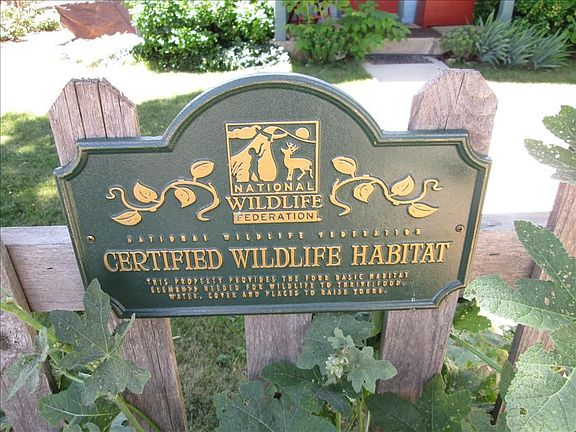 Certified Wildlife Habitat
