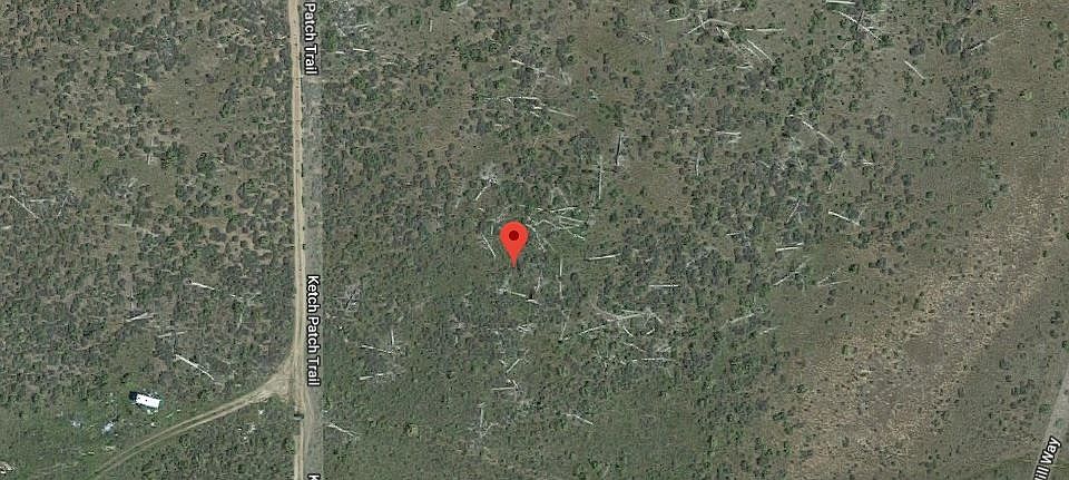 2nd image of Ketch Patch Trl