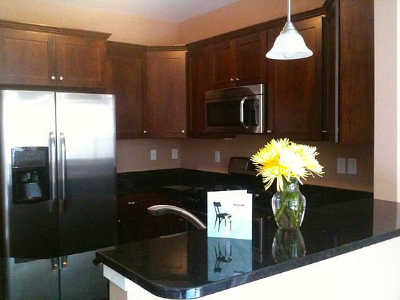 Custom walnut cabinets