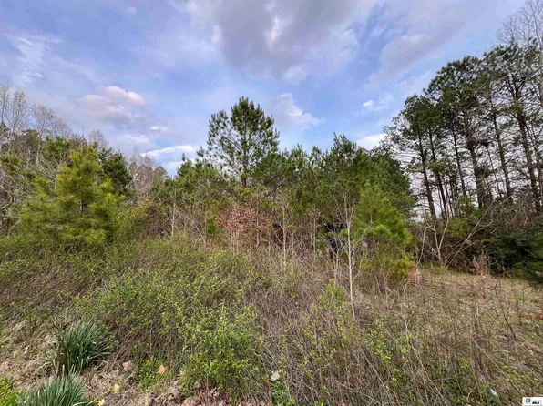 0 Tisdale Rd, Eros, LA 71238