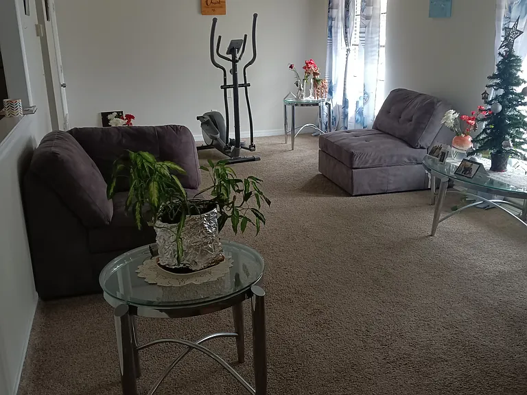 320 Tangerine St — Photo 5