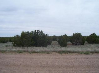 8538 Cannon Blvd, Show Low, AZ 85901