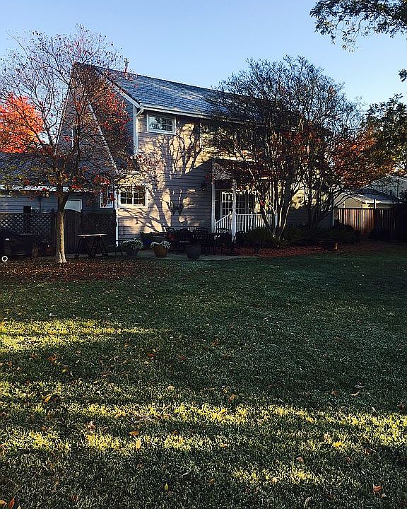 Back yard in late fall