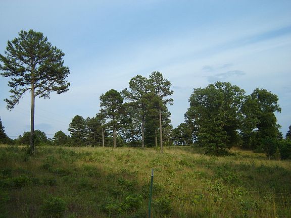 3rd image of 000 Mooney Hollow Drive