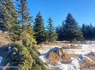 17466 Chefornak St, Ninilchik, AK 99639