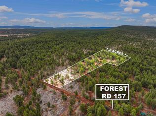 LOT-25A Forest Rd #157, Fort Wingate, NM 87316