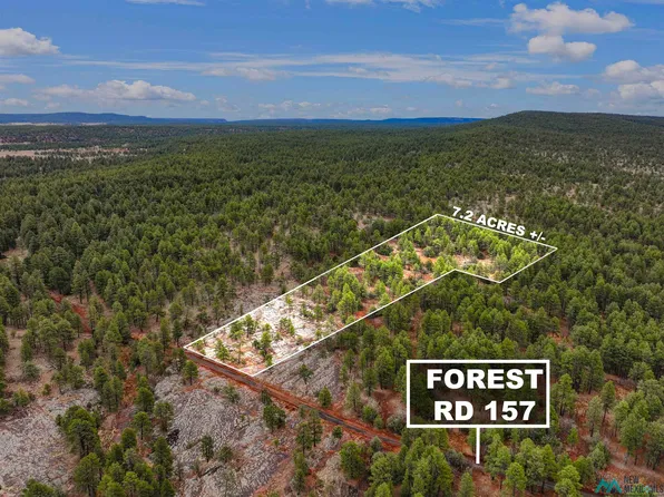 LOT-25A Forest Rd #157, Fort Wingate, NM 87316