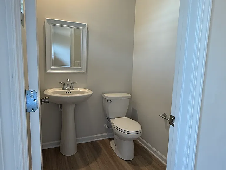 Powder room downstairs