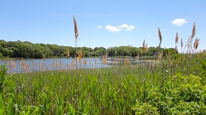 1st image of 155 Peconic Bay Blvd