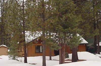 Nestled in the Woods