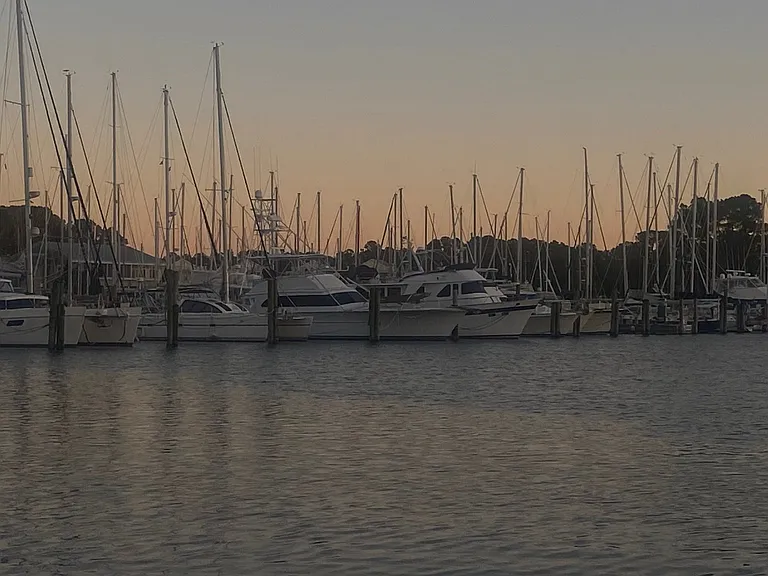 6125 Harbourside Dr — Photo 3