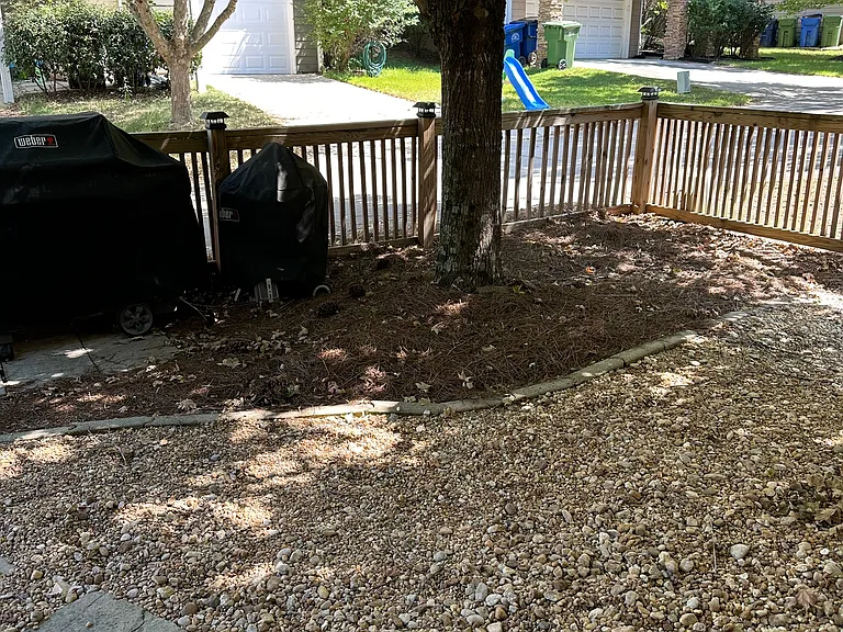 Quaint small curated backyard