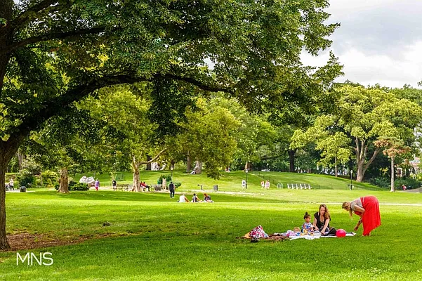 Sold by MNS | media 5