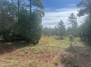 5481 Red Squirrel Ln #55, Lakeside, AZ 85929